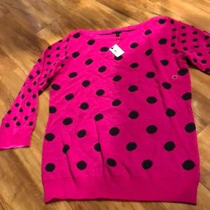 Pink sweater (The Limited)